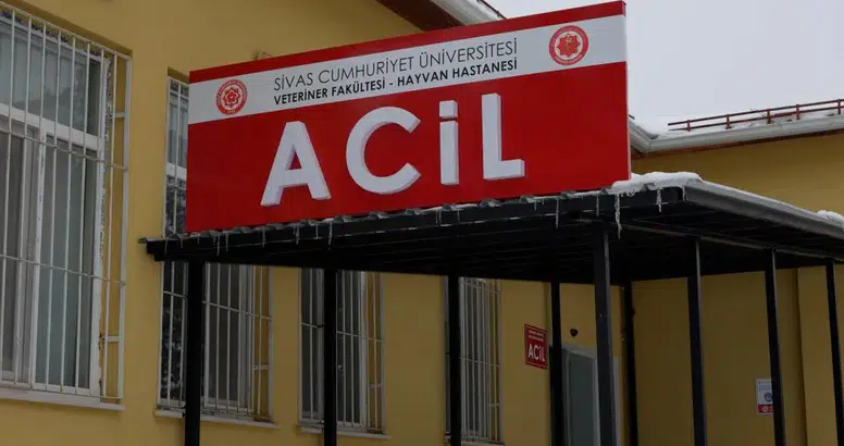 Sivas’ta Hayvanlar İçin Mesai Dışı Acil Sağlık Hizmeti