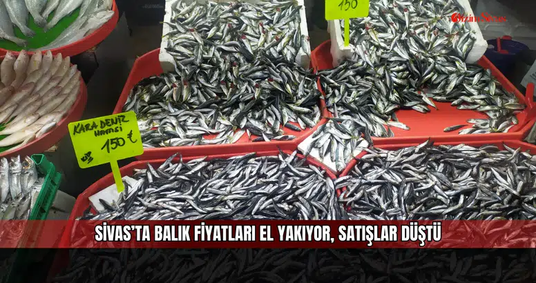 Sivas’ta balık fiyatları el yakıyor, satışlar düştü
