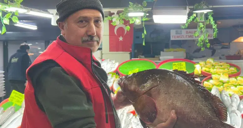 Sivas’ta dev orfoz balığı görenleri şaşırttı