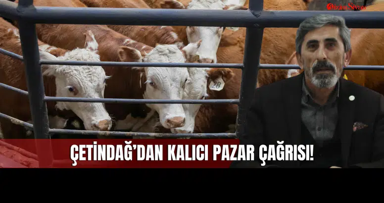 Sivas Merkezde Hayvan Pazarı İhtiyacı Var