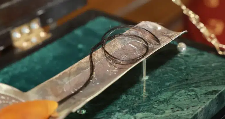 Kutsal Emanetler Sivas'ta Ziyarete Açıldı!