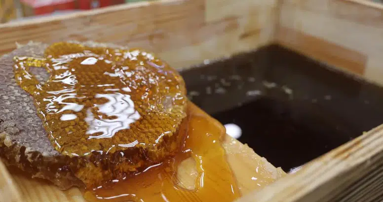 Sahte Organik Ürünlerde Yapılan Akılalmaz Hileler!