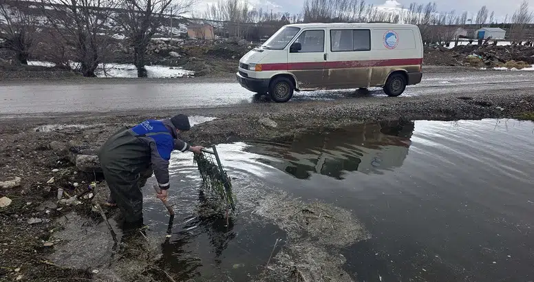 Sivas'ta Sel Baskını: Çiftçi Hem Şükrediyor Hem Endişeli