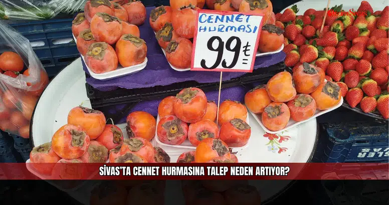 Sivas’ta Cennet Hurmasına Talep Neden Artıyor?