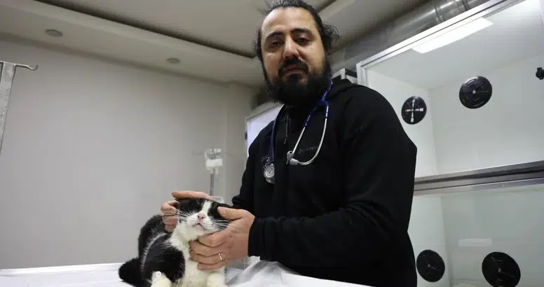 Sivas’ta 11 Kedinin Hayata Tutunuşta Gönüllüler Var