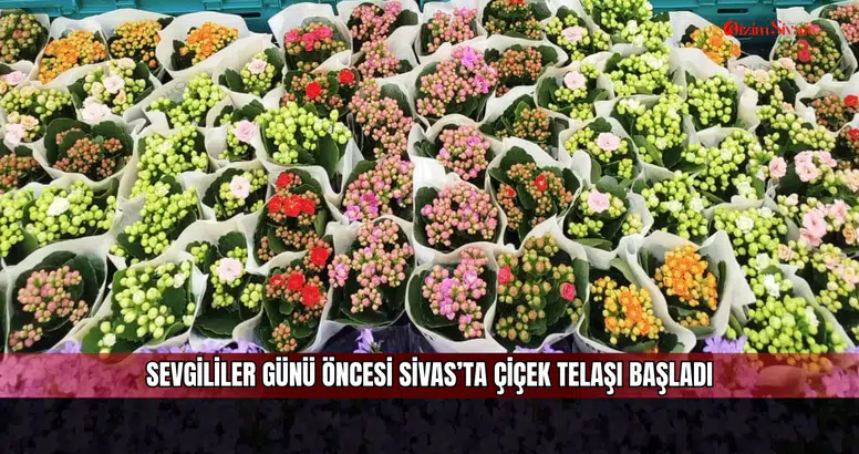 Sevgililer Günü öncesi Sivas’ta çiçek telaşı başladı
