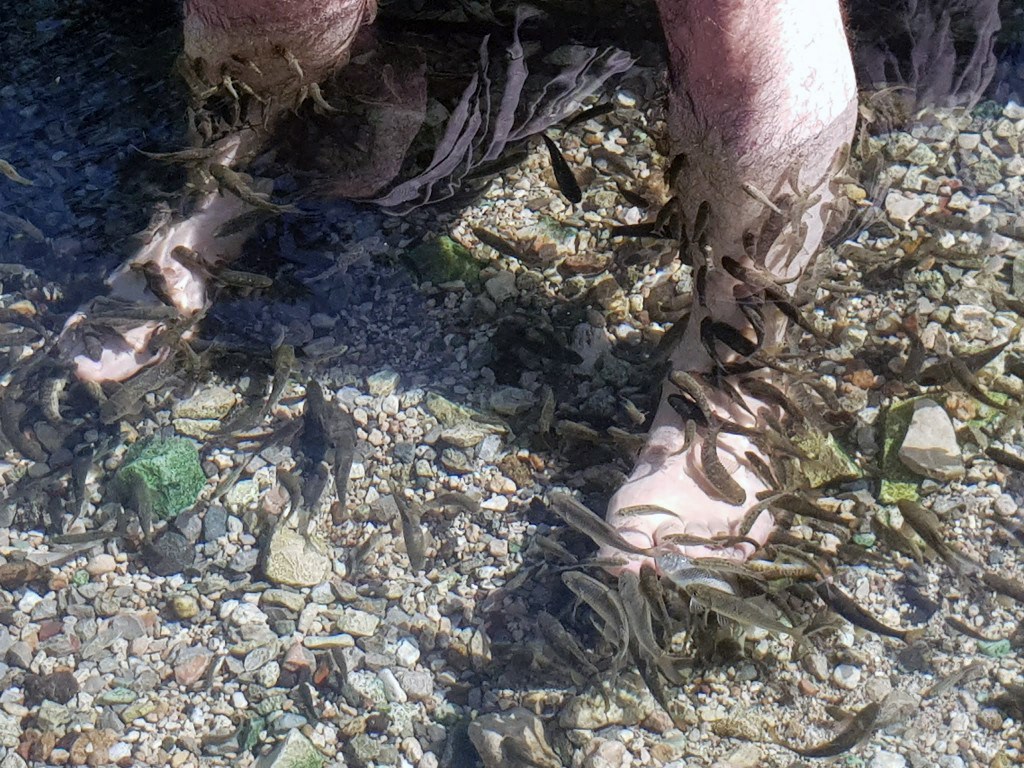 Sivas'ta Doktor Balıklar ile Şifa Arayanların Dünyaca Ünlü Durağı 2