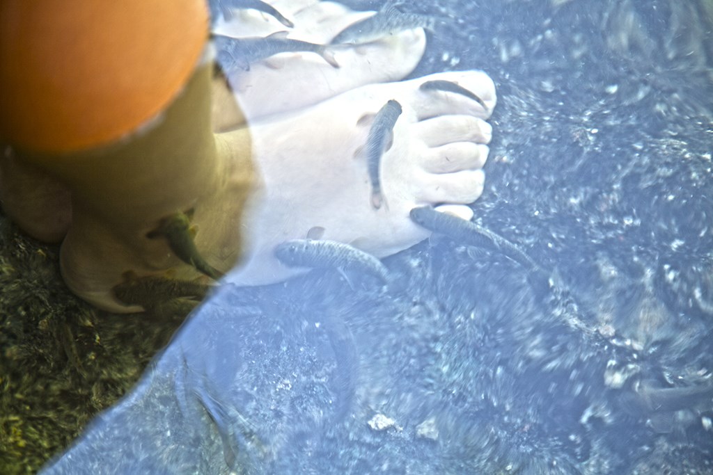 Sivas'ta Doktor Balıklar ile Şifa Arayanların Dünyaca Ünlü Durağı 1