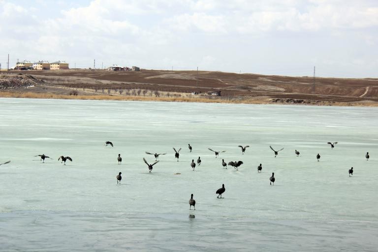 Sivas’ta Bu Gölün Altında Ne Saklı? 4