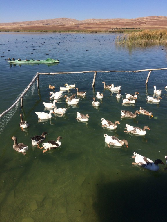 Sivas’ta Bu Gölün Altında Ne Saklı? 2