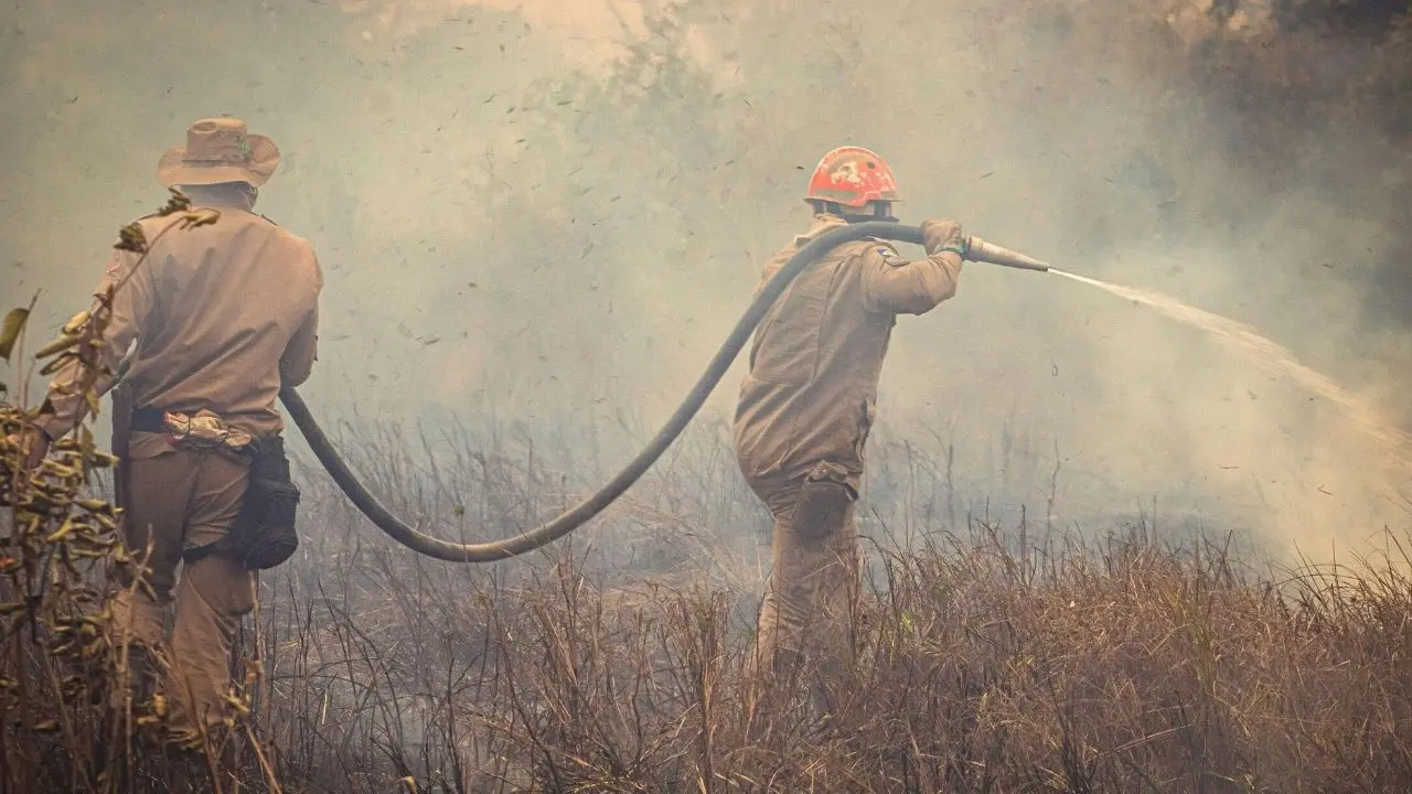 Türkiye'nin En Tehlikeli Meslekleri Nelerdir? En Tehlikeli Meslek Grupları! 4