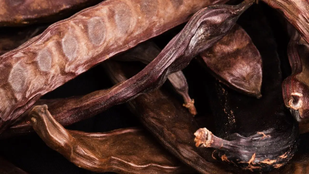 Kış Aylarında Bağışıklık Sistemini Güçlendirmenin 7 Yolu! 8