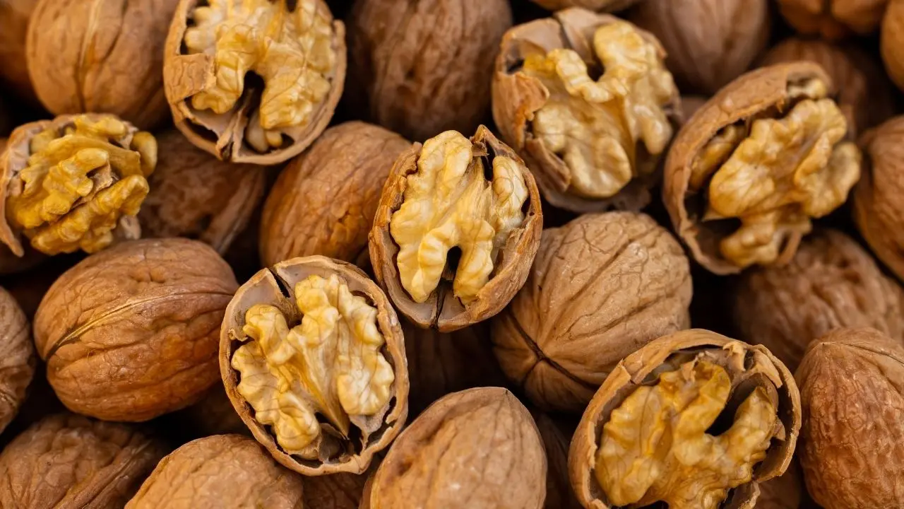 Kış Aylarında Bağışıklık Sistemini Güçlendirmenin 7 Yolu! 2