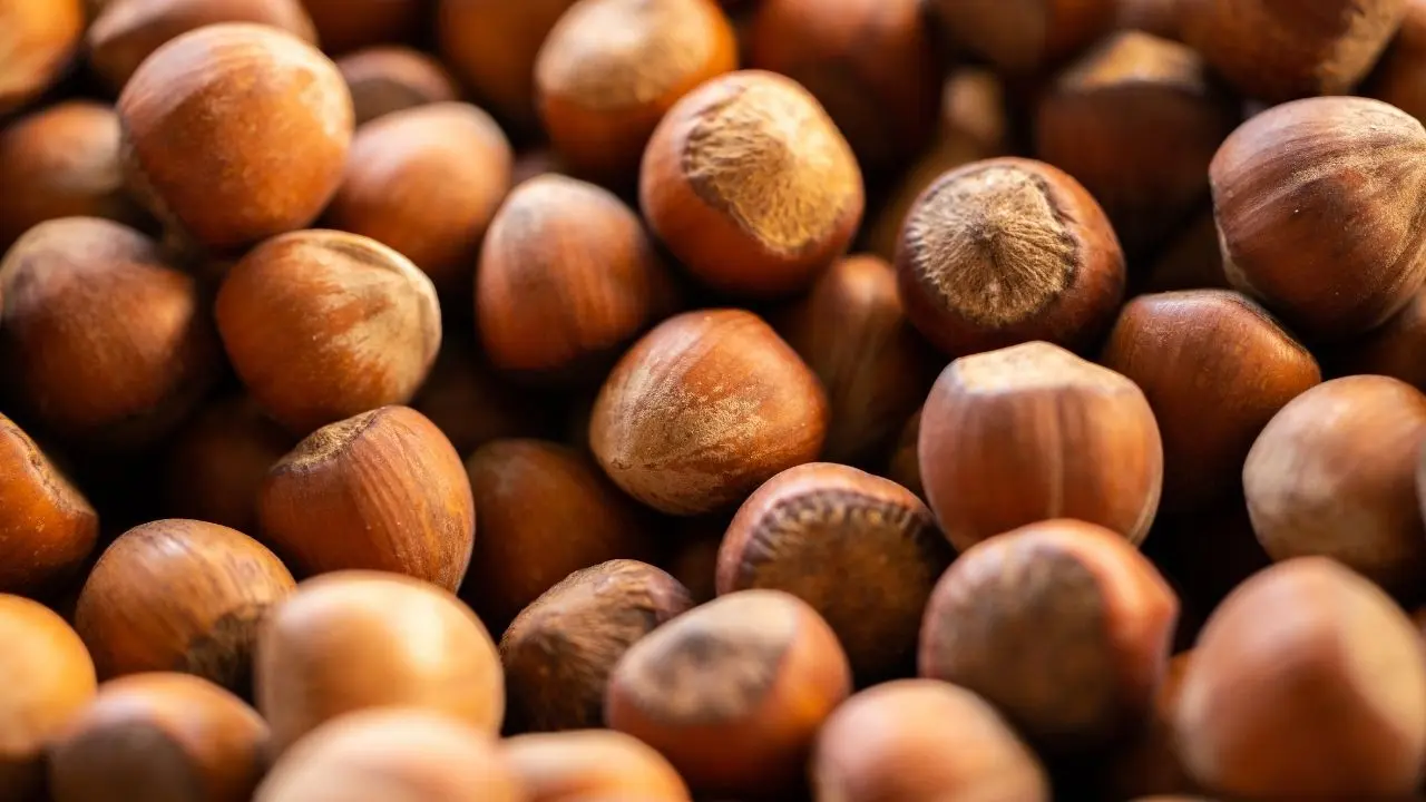 Kış Aylarında Bağışıklık Sistemini Güçlendirmenin 7 Yolu! 3