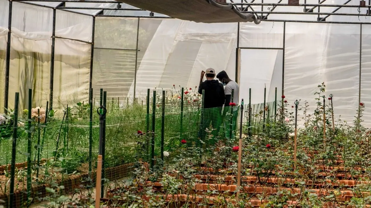 Diploması Olan Bile İşsiz Kalabilir! İşte Geleceğin 7 Mesleği! 4